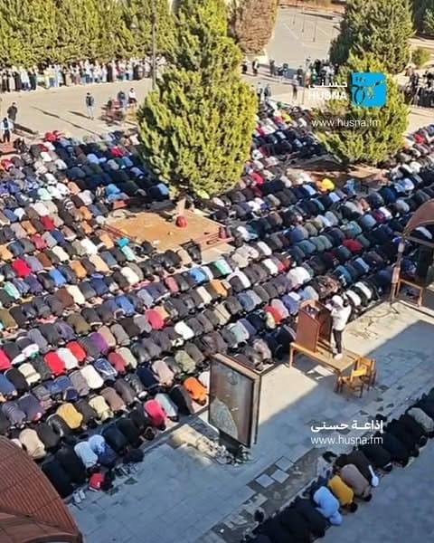 photo 2024 12 20 11 47 48