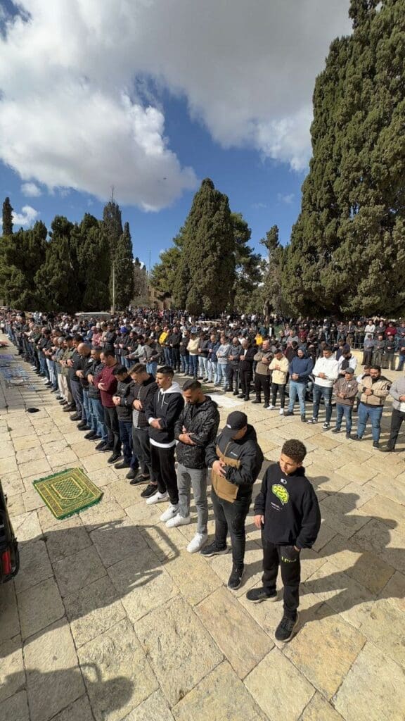 photo 2024 12 20 11 58 24