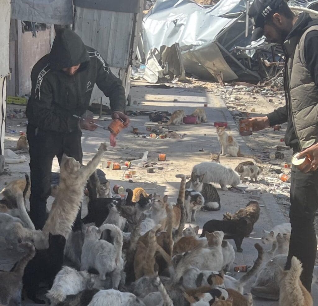 ٢٠٢٤١٢١٣ ١٠٢٨٤٦