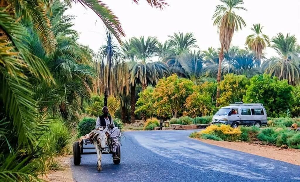 ٢٠٢٤١٢١٣ ١٠٣٢٥٢