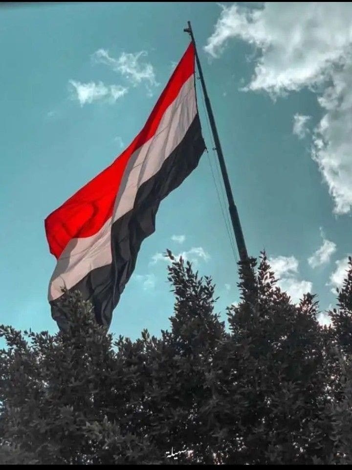 28e124f8f0b3ebbd65a332700f611634