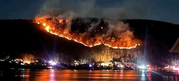 IMG 20250111 091739 058