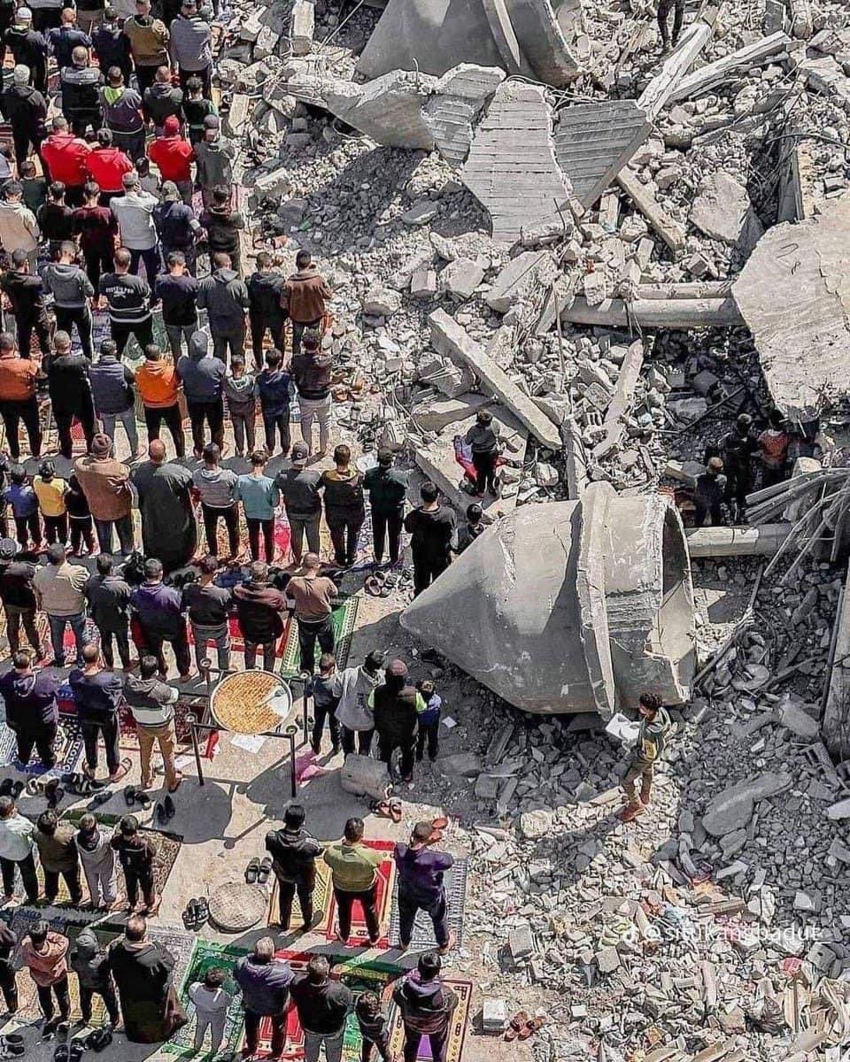 IMG 20250124 154034 364