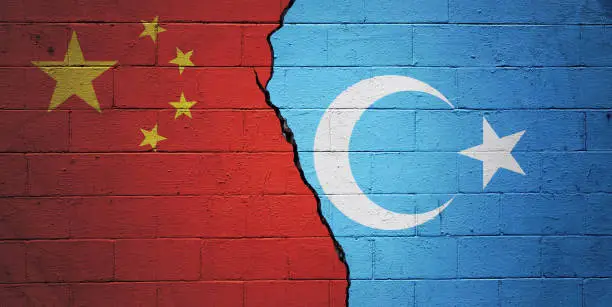 istockphoto 1366626022 612x612 1