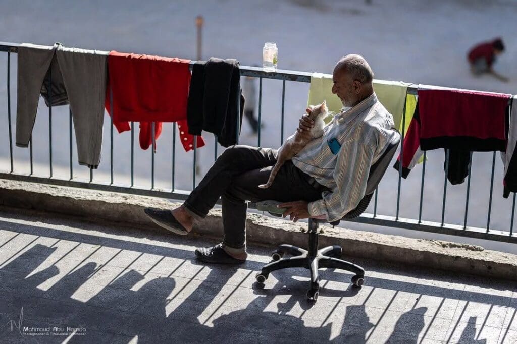 photo 2025 01 03 23 06 33