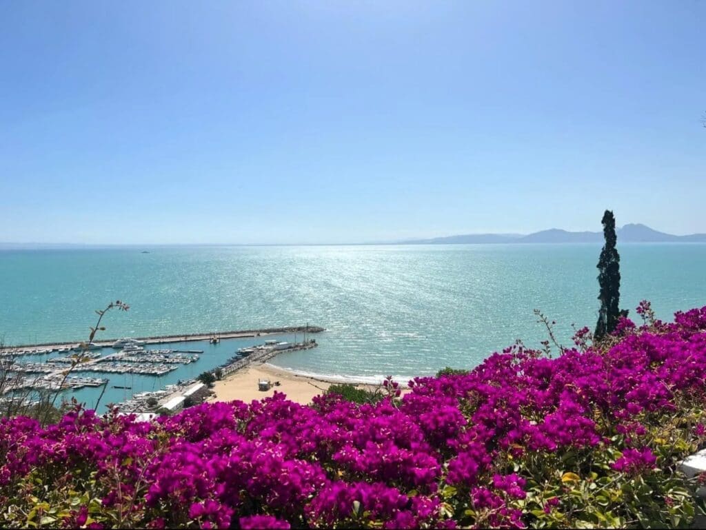 photo 2025 01 04 03 50 29