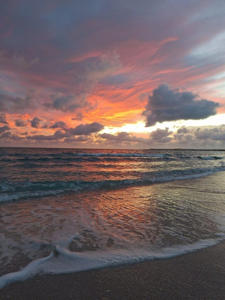 photo 2025 01 04 03 50 34