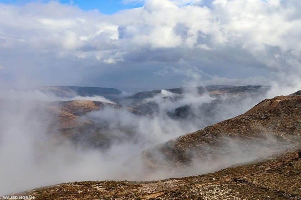 photo 2025 01 04 03 51 35