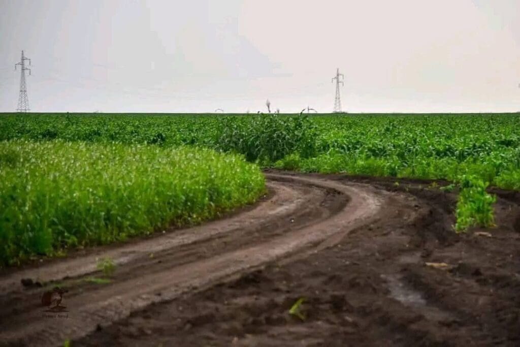 photo 2025 01 10 09 14 40 1