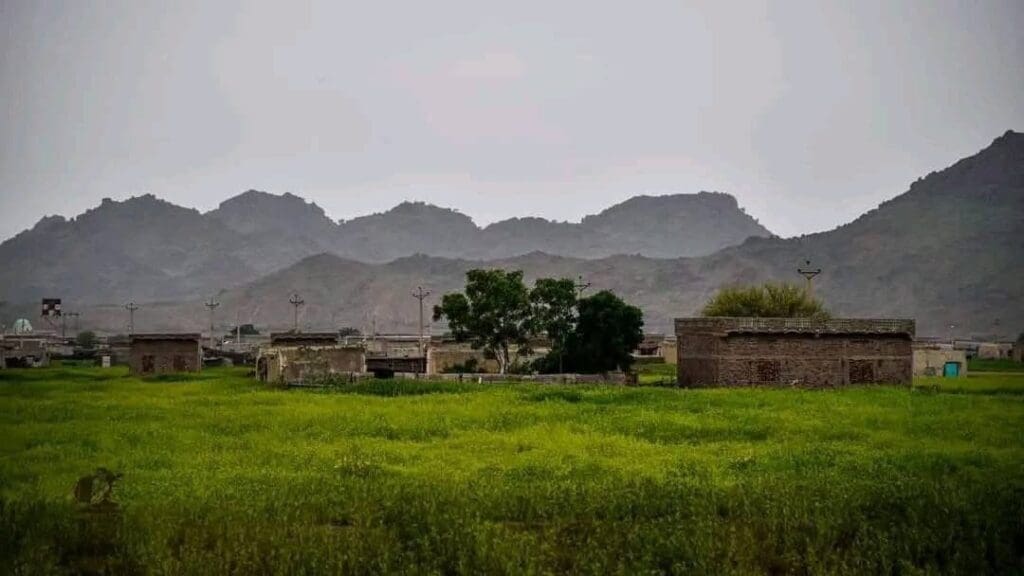 photo 2025 01 10 09 14 43 1