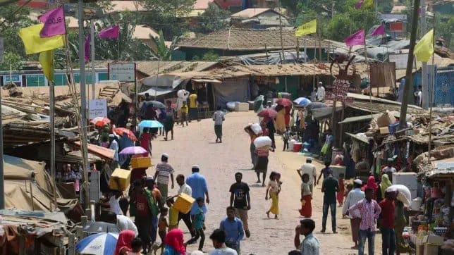 photo 2025 01 17 11 04 12