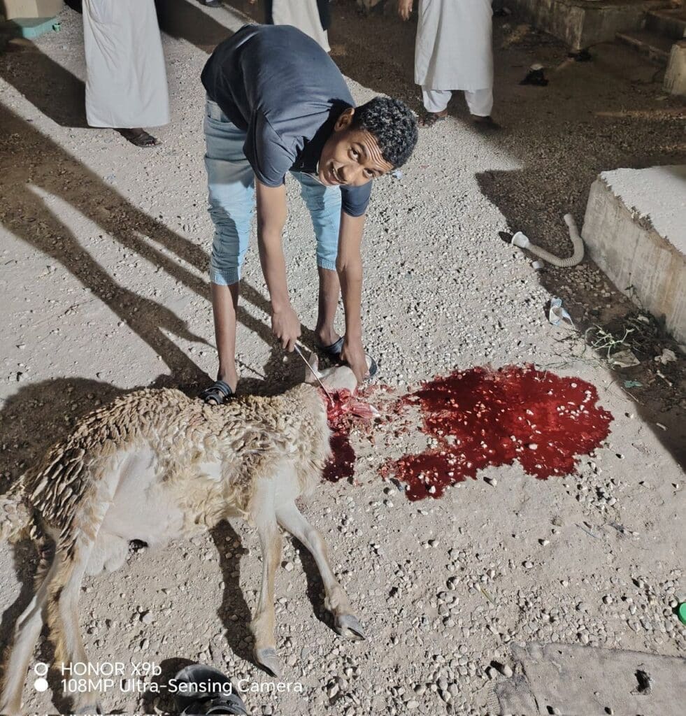 photo 2025 01 17 11 11 26