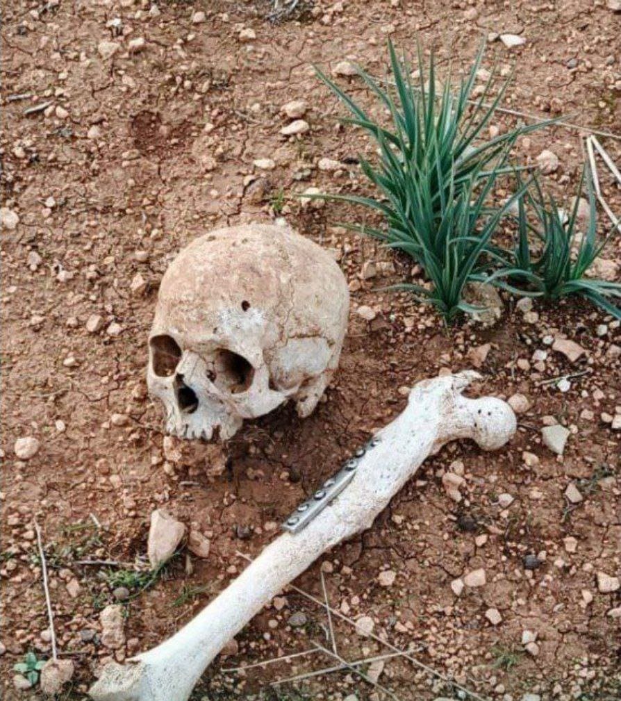 photo 2025 01 17 11 12 47