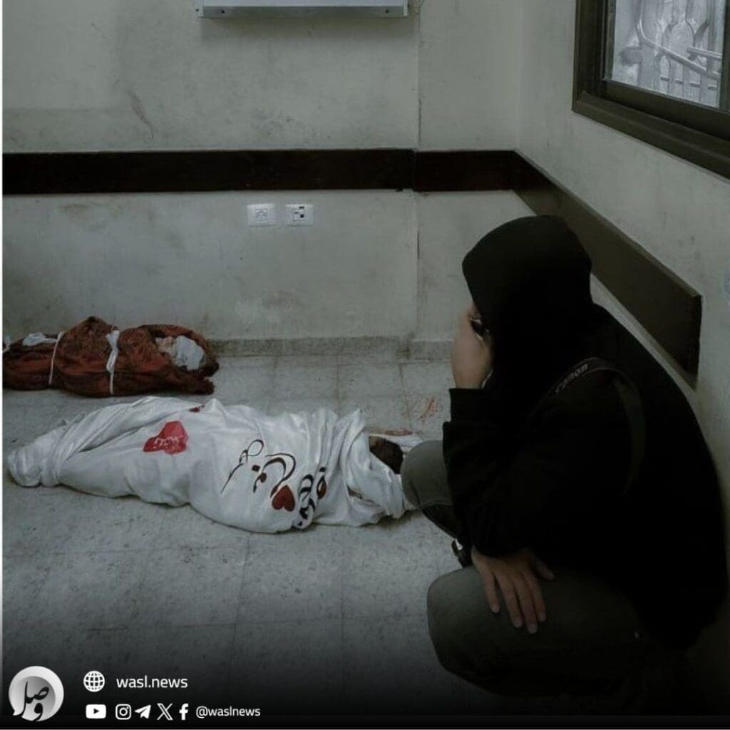 photo 2025 01 17 11 16 17