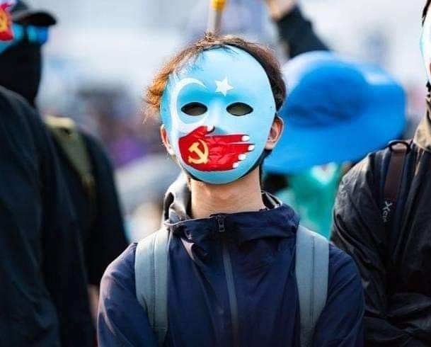 7f80ab560ac81f44d0a1c770ec197132