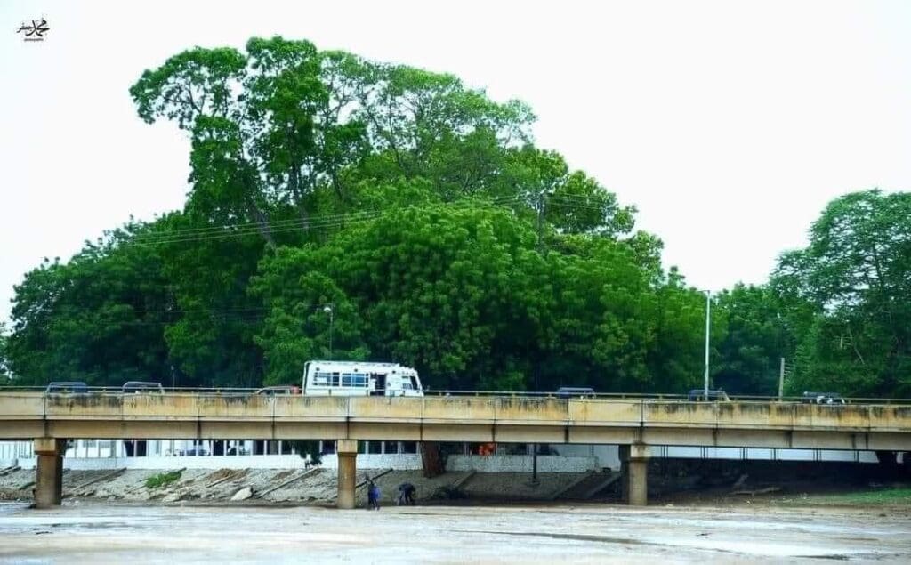 photo 2025 02 07 16 48 09