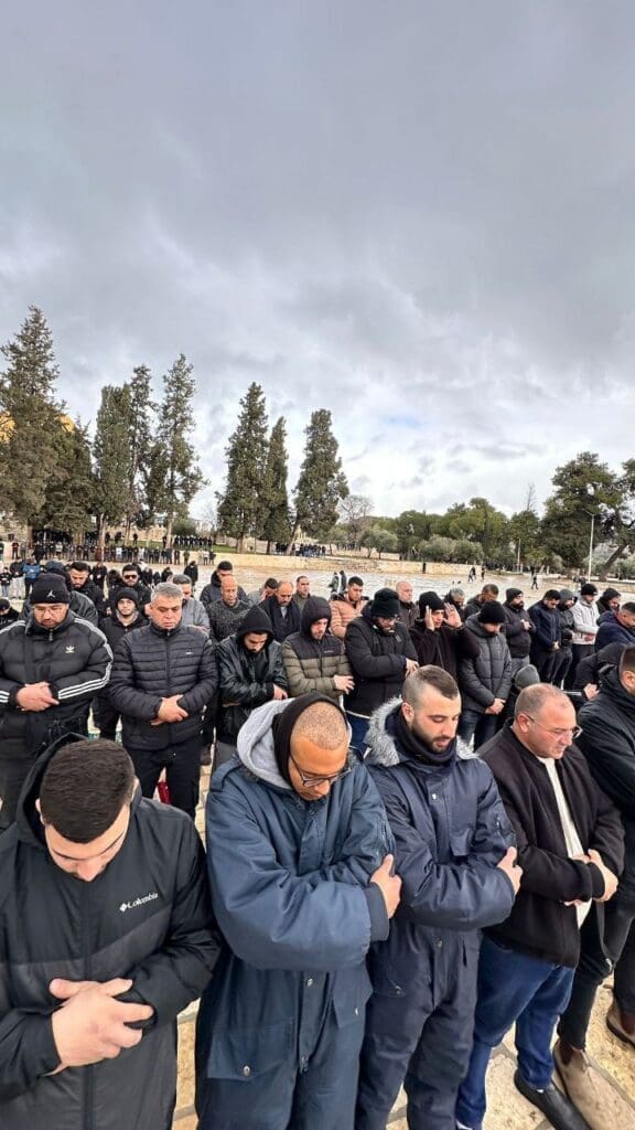 photo 2025 02 07 17 27 49