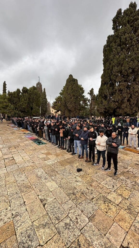 photo 2025 02 07 17 27 52