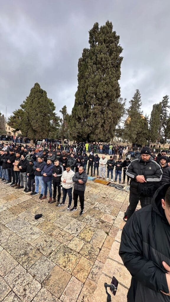 photo 2025 02 07 17 27 56