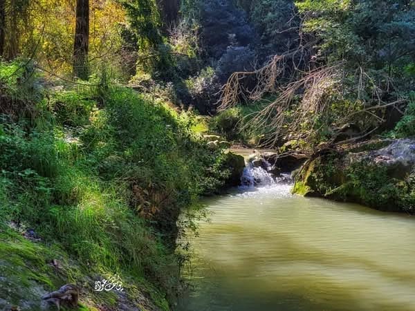 photo 2025 02 07 17 30 40