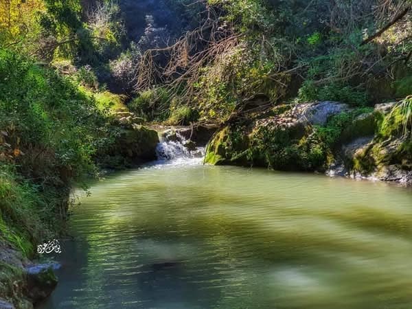 photo 2025 02 07 17 30 45