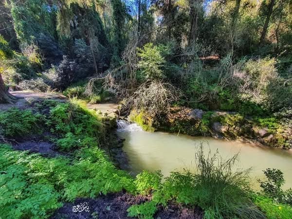 photo 2025 02 07 17 30 48