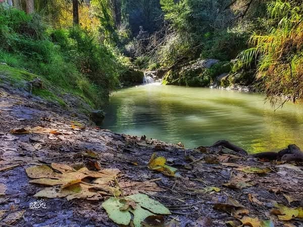 photo 2025 02 07 17 30 51