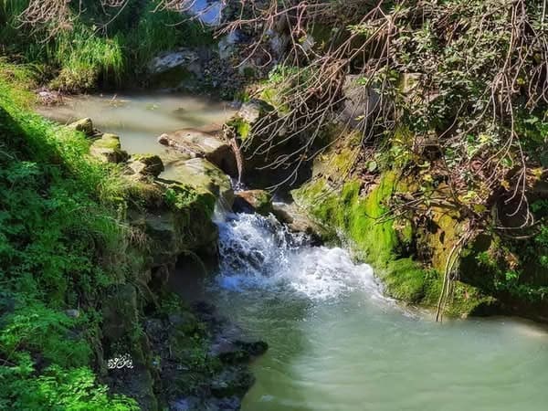 photo 2025 02 07 17 30 54