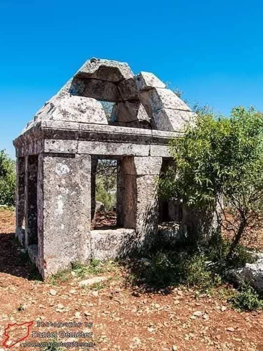 photo 2025 02 07 17 31 39