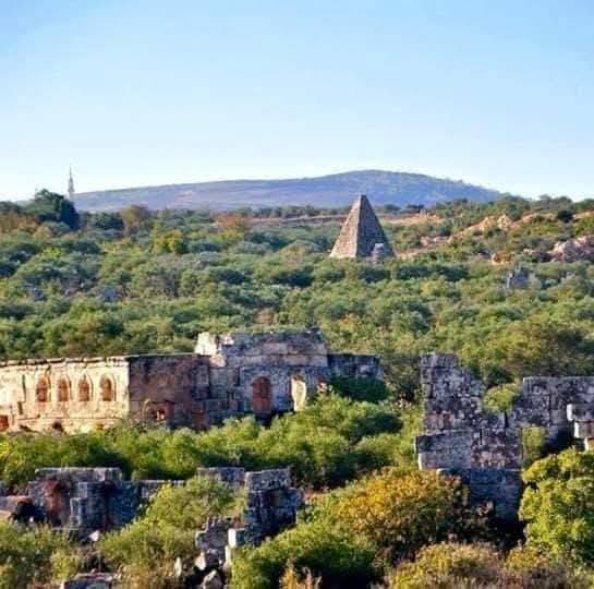 photo 2025 02 07 17 31 43