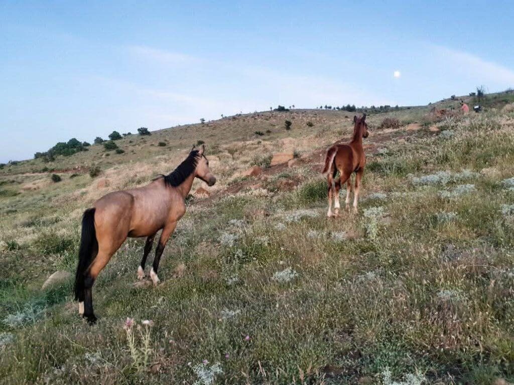 photo 2025 02 07 17 45 48