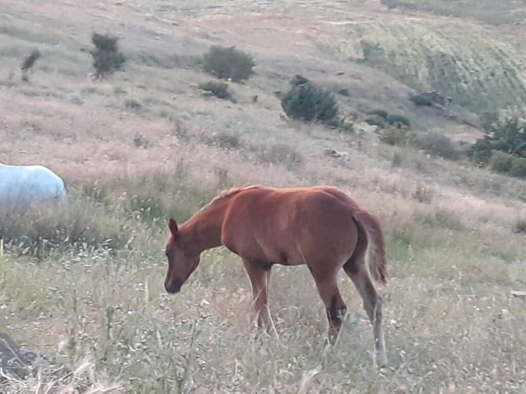 photo 2025 02 07 17 45 51