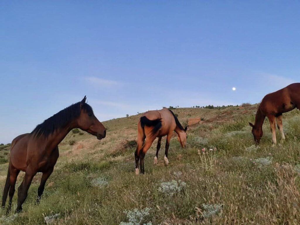 photo 2025 02 07 17 45 54