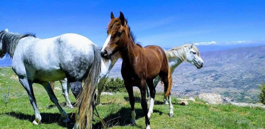 photo 2025 02 07 17 45 59