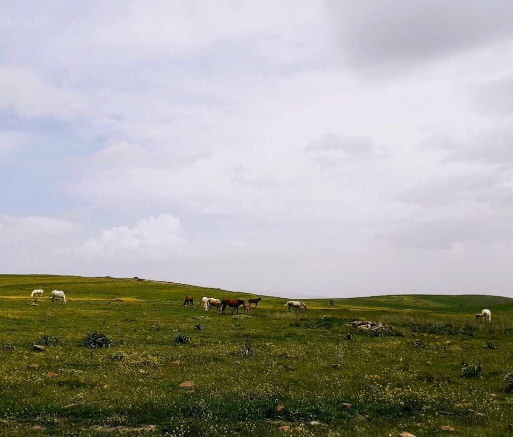 photo 2025 02 07 17 46 02