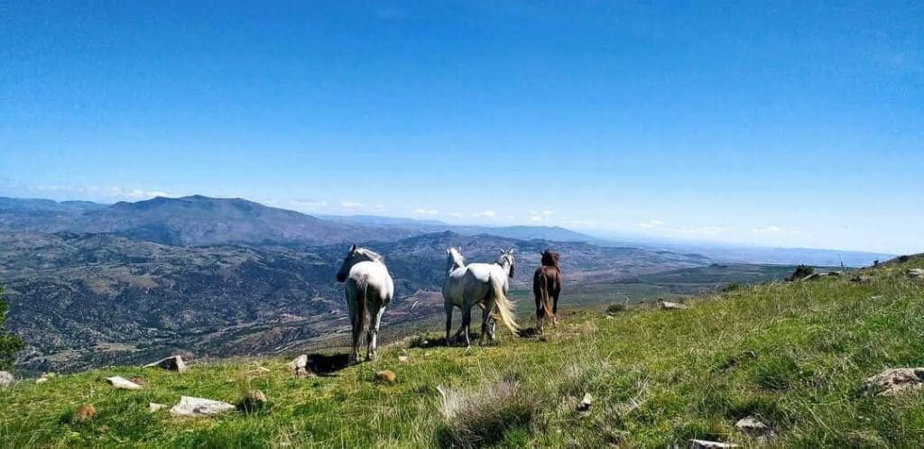 photo 2025 02 07 17 46 10