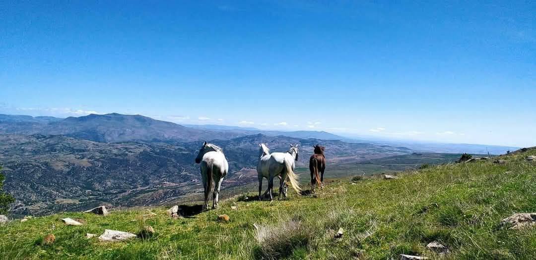 photo 2025 02 07 17 46 10