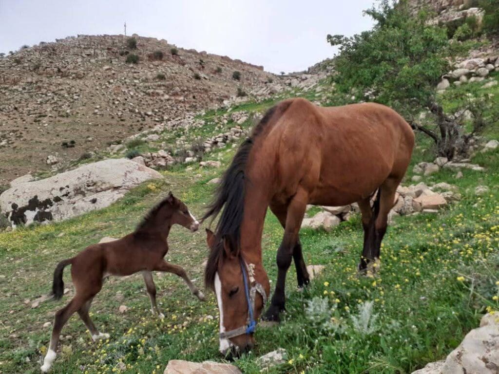 photo 2025 02 07 17 46 16