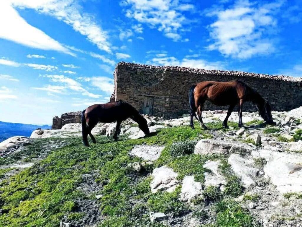 photo 2025 02 07 17 46 19