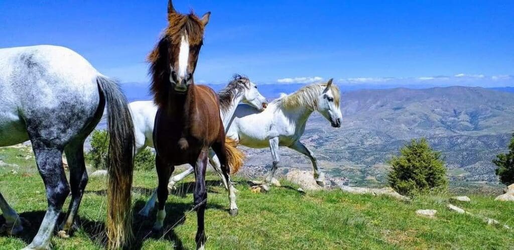 photo 2025 02 07 17 46 26