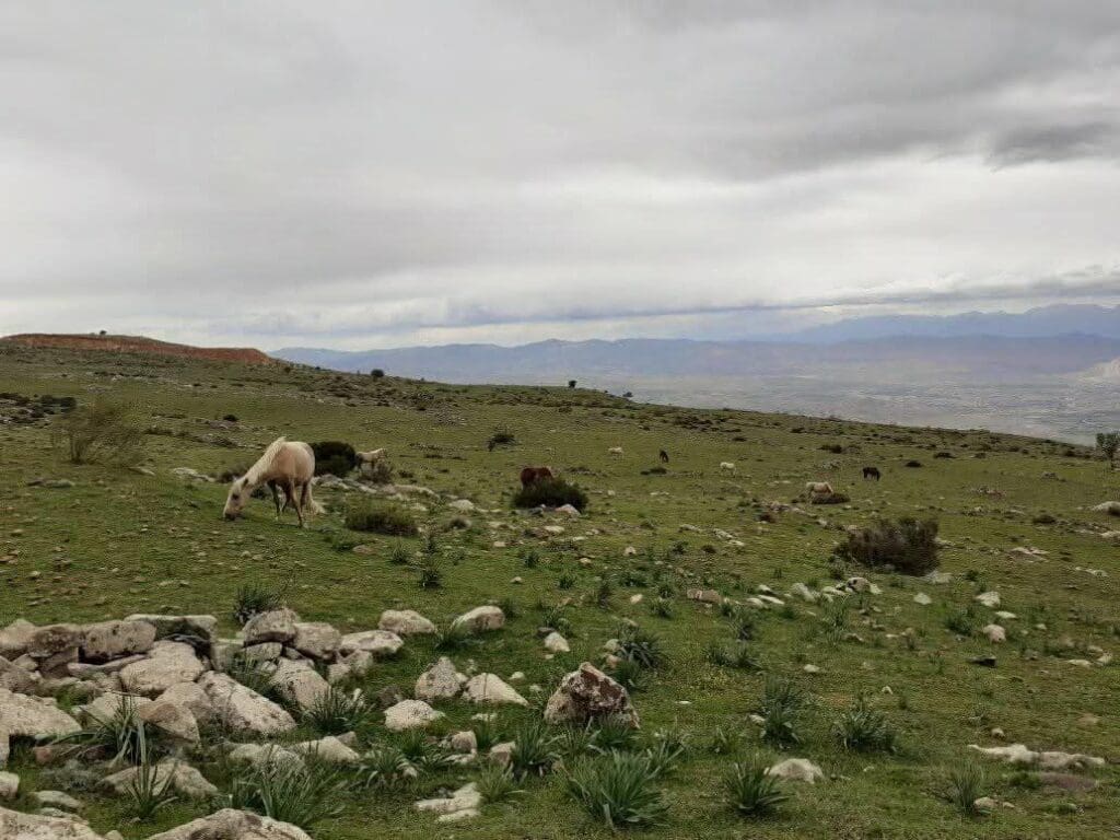 photo 2025 02 07 17 46 29