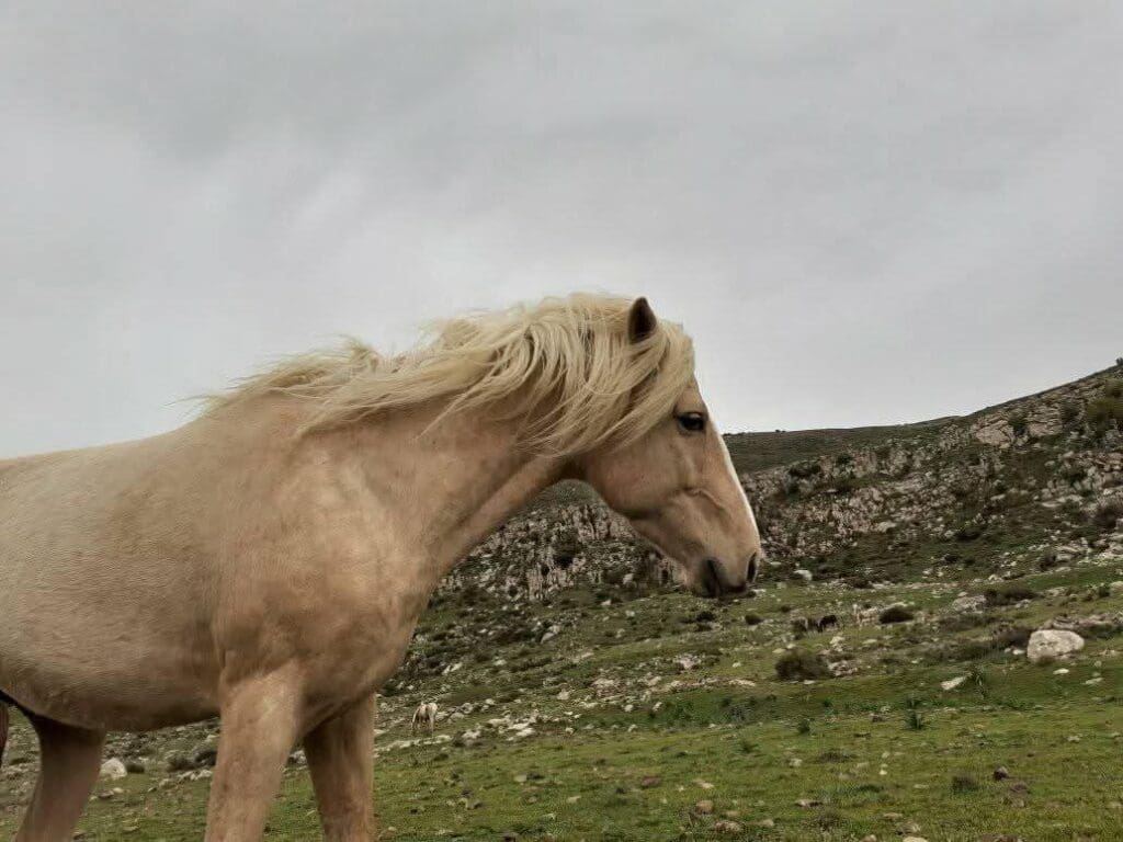 photo 2025 02 07 17 46 32