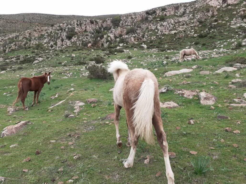 photo 2025 02 07 17 46 35