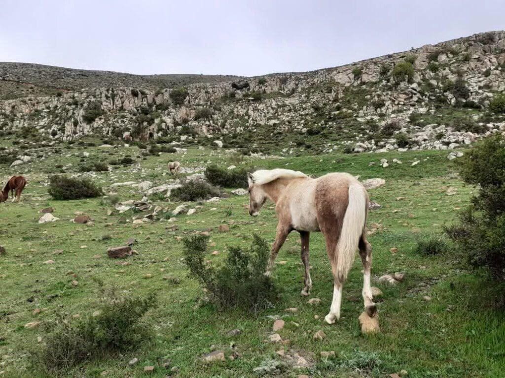 photo 2025 02 07 17 46 38