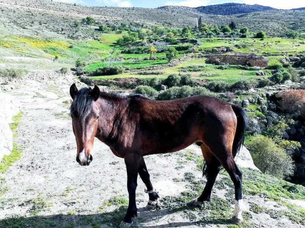 photo 2025 02 07 17 46 42