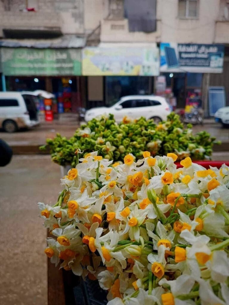 photo 2025 02 07 17 47 52