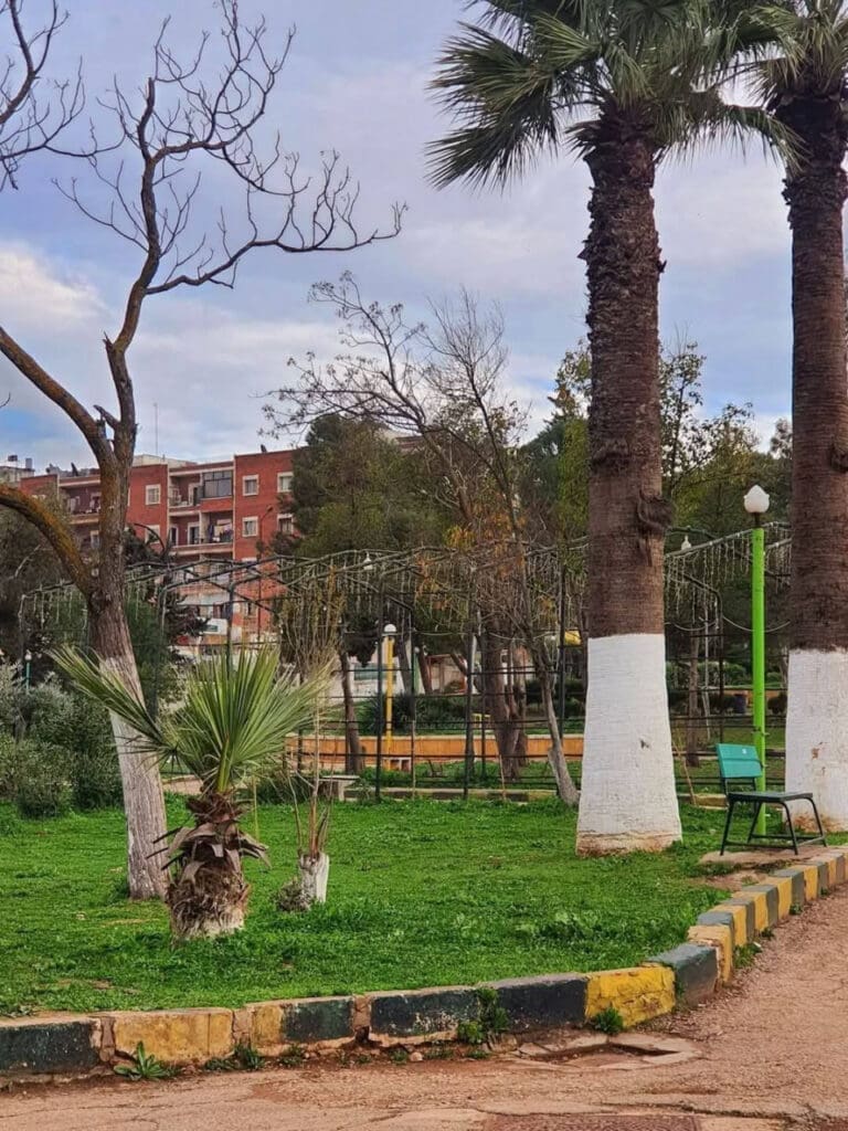 photo 2025 02 07 17 47 57