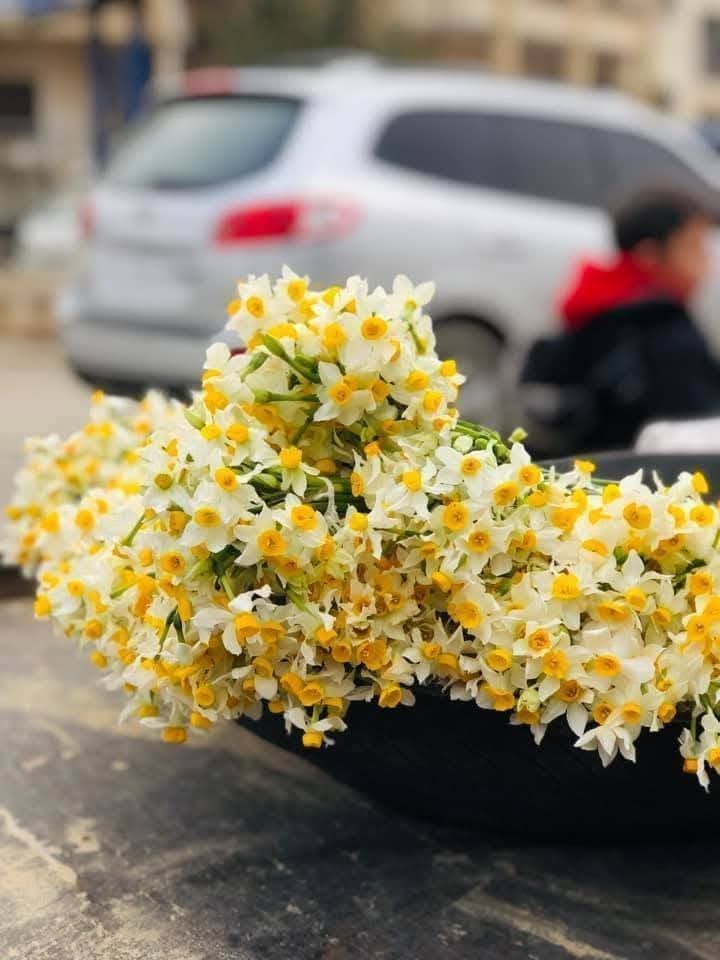 photo 2025 02 07 17 48 04