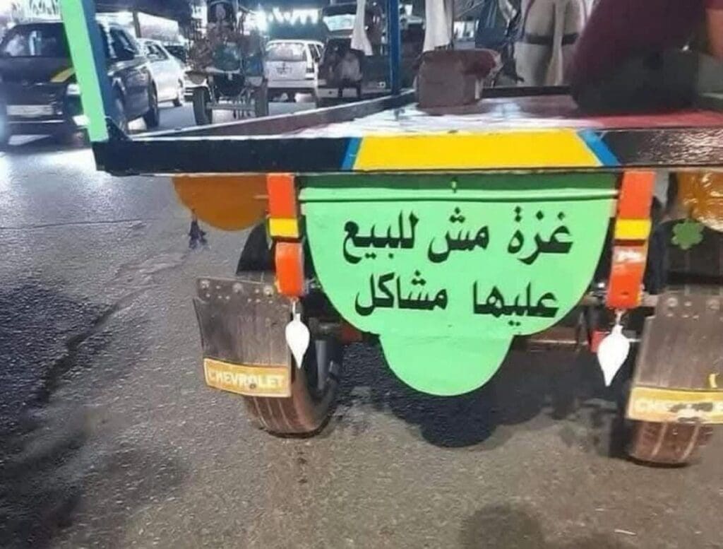 photo 2025 02 14 12 04 49