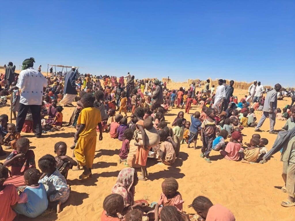 photo 2025 02 14 12 05 35